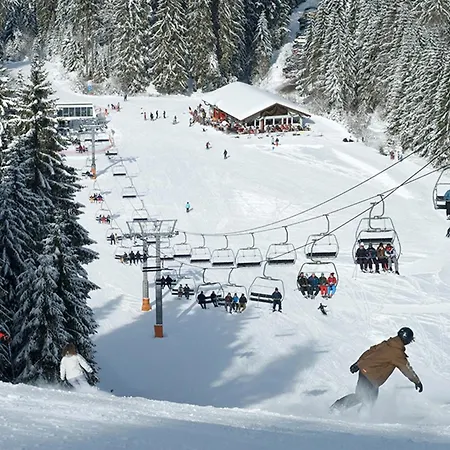 Jujuouragan 2 Saint-Die-des-Vosges