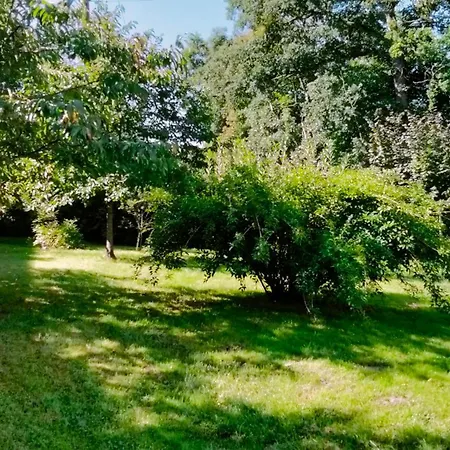 Jujuouragan 2 Apartmán *