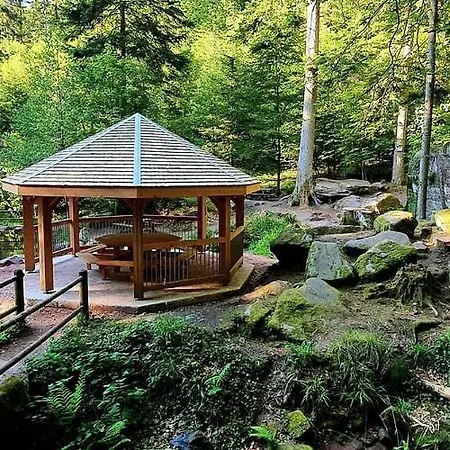 Jujuouragan 2 * Saint-Dié-des-Vosges