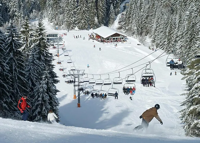 Jujuouragan 2 Saint-Die-des-Vosges